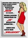 Blechschild 40x30 cm Frauen kennen 100 Arten Nein sagen Spruch Zitat