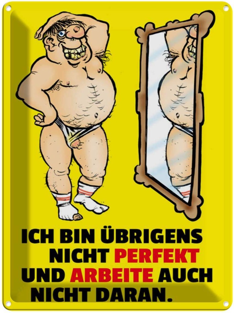 [LA-1789226] Blechschild 40x30 cm Ich bin übrigens nicht perfekt Spruch Zitat