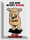 Blechschild 40x30 cm bin nicht klein platzsparend Spruch Zitat