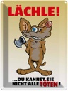 Blechschild 40x30 cm Lächle Du kannst Sie nicht alle Töten Spruch Zitat