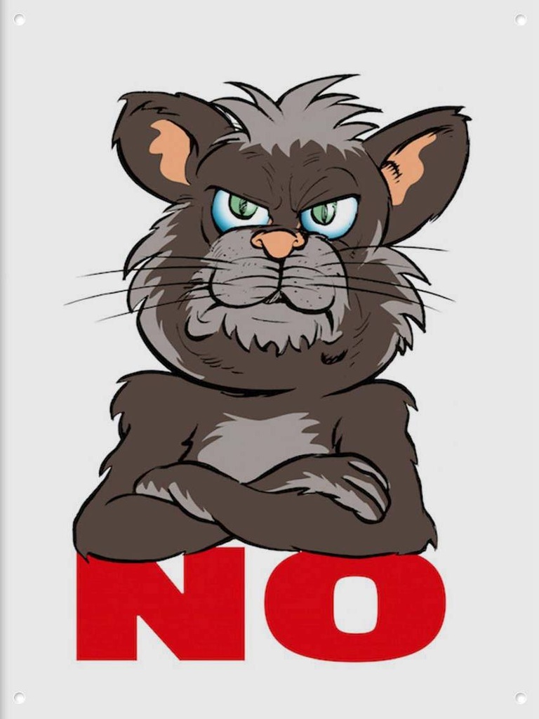 Blechschild 40x30 cm NO (Katze)