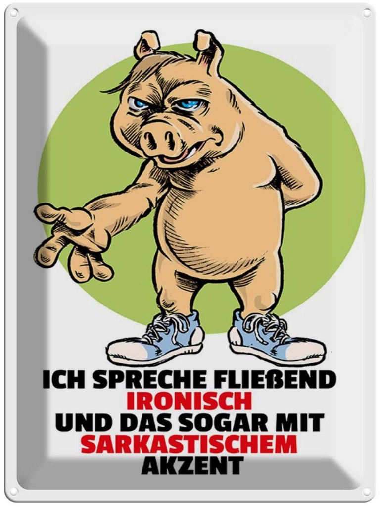 [LA-1789289] Blechschild 40x30 cm Spreche fließend ironisch Spruch Zitat