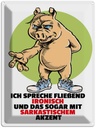 Blechschild 40x30 cm Spreche fließend ironisch Spruch Zitat