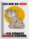 Blechschild 40x30 cm Bin süß könnte Zucker pupsen (Katze) Katze