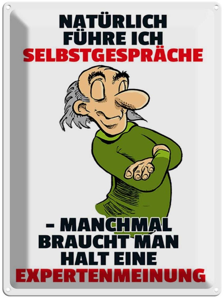 [LA-1789326] Blechschild 40x30 cm Selbstgespräche Expertenmeinung Spruch Zitat