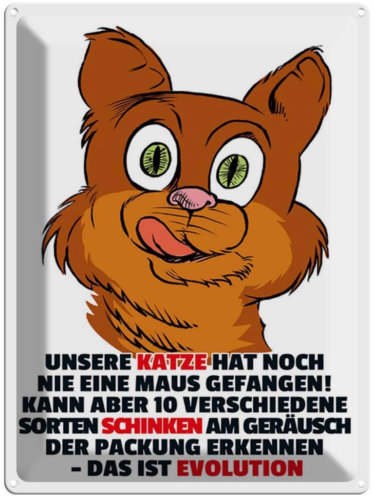 [LA-1789332] Blechschild 40x30 cm Katze hat noch nie Maus gefangen