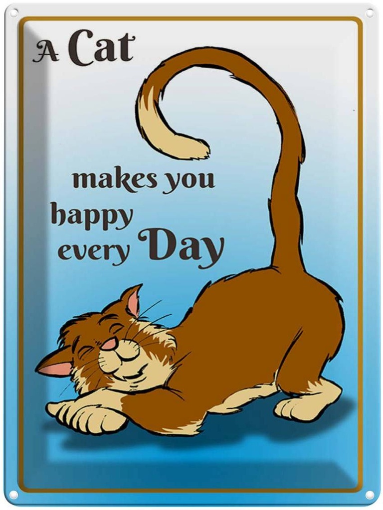 Blechschild 40x30 cm A cat makes you happy every day