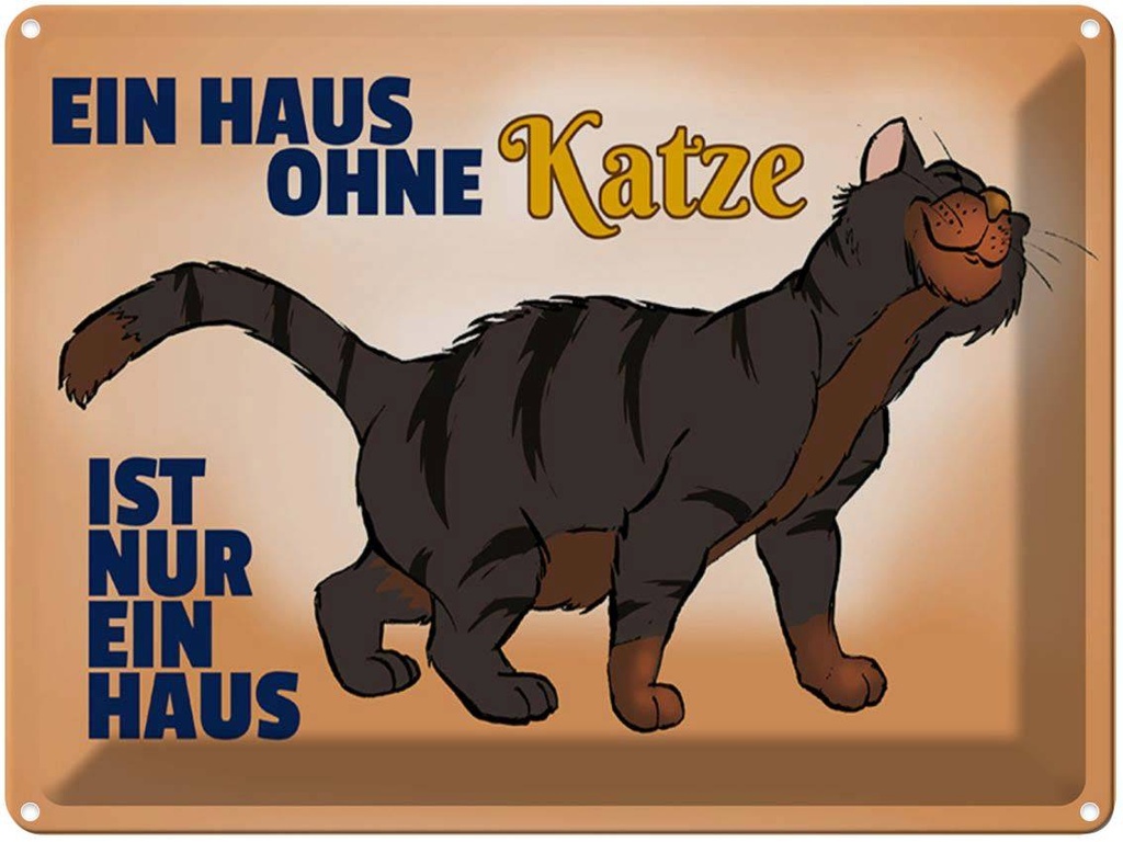 [LA-1789338] Blechschild 30x40 cm Haus ohne Katze ist nur ein
