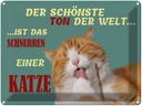 Blechschild 30x40 cm Schönste Ton ist Katzenschnurren Katze