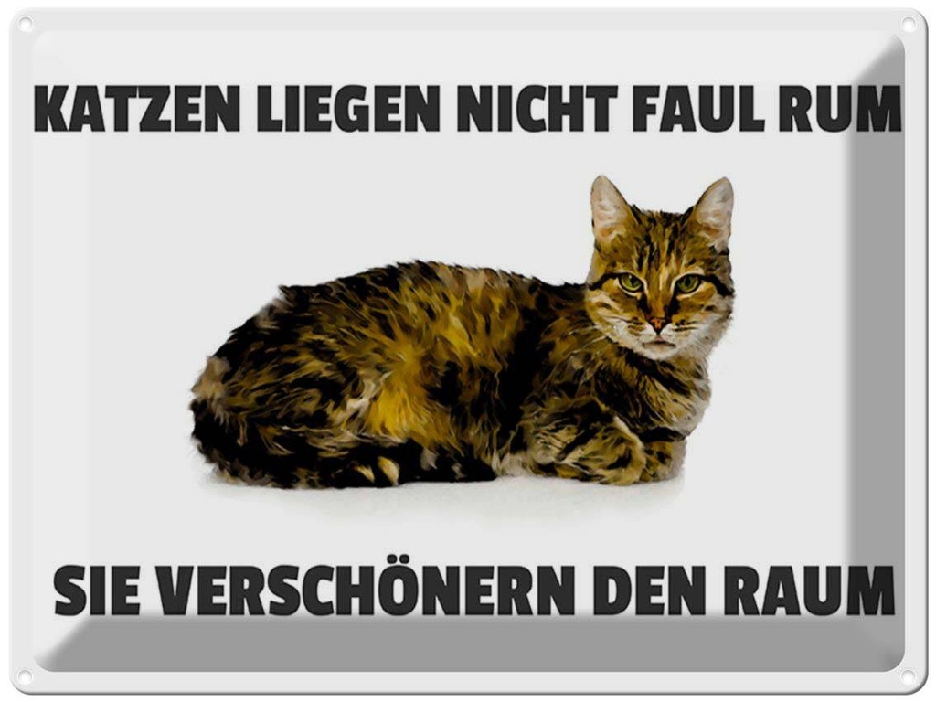 [LA-1789341] Blechschild 30x40 cm Katzen verschönern den Raum Katze