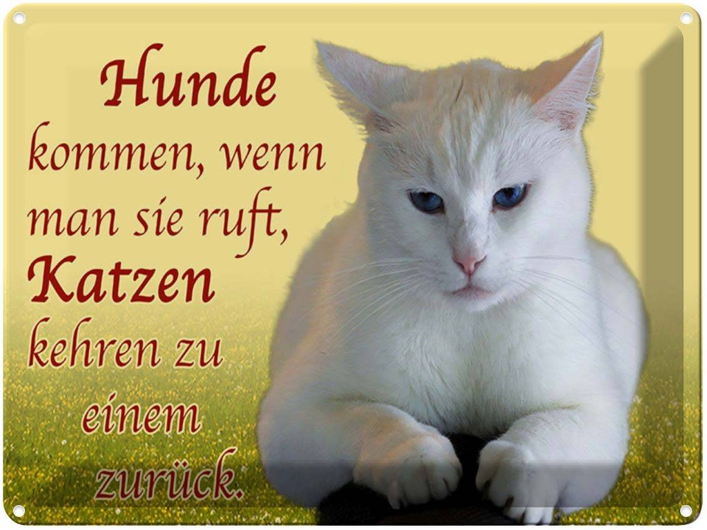 [LA-1789346] Blechschild 30x40 cm Hunde kommen Katzen kehren zurück Katze