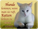 Blechschild 30x40 cm Hunde kommen Katzen kehren zurück Katze