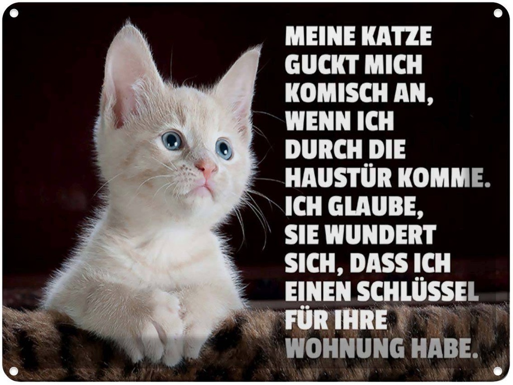 [LA-1789347] Blechschild 30x40 cm Katze guckt mich komisch an