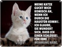Blechschild 30x40 cm Katze guckt mich komisch an