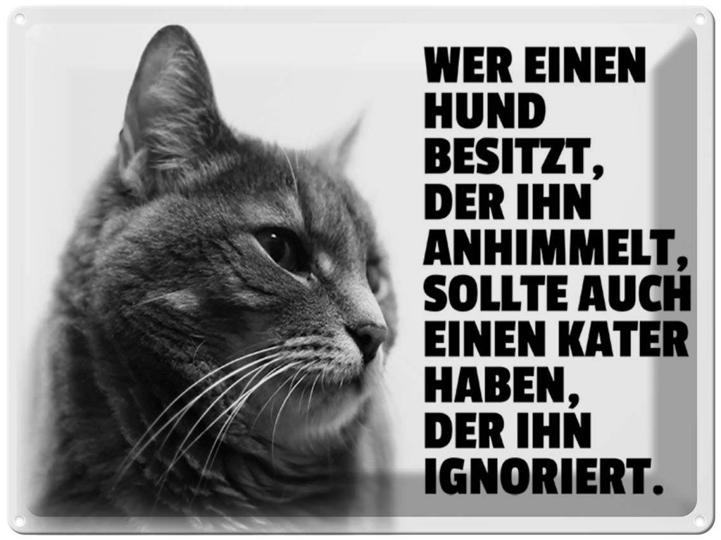 [LA-1789349] Blechschild 30x40 cm Hund himmelt an Kater ignoriert