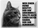 Blechschild 30x40 cm Hund himmelt an Kater ignoriert