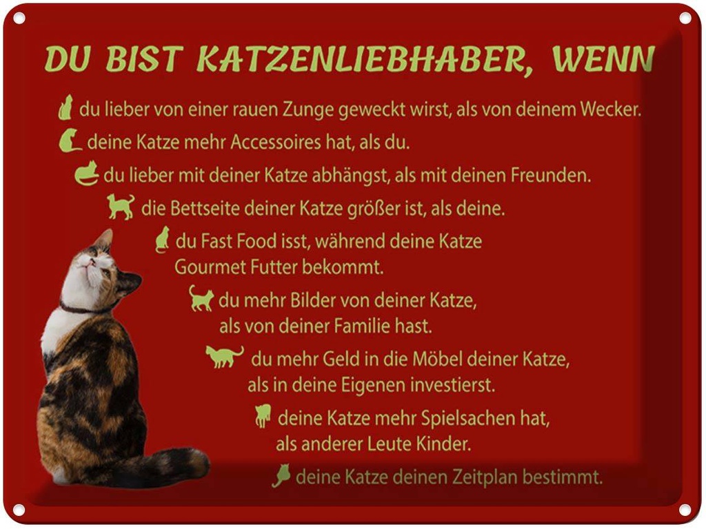 [LA-1789353] Blechschild 30x40 cm du bist Katzenliebhaber wenn Katze