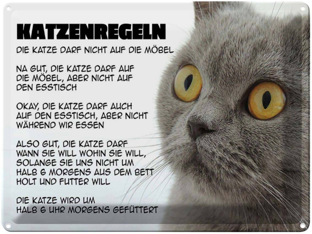 [LA-1789354] Blechschild 30x40 cm Katzenregeln Katze darf nicht