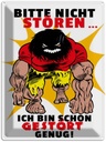 Blechschild 40x30 cm Nicht stören bin gestört genug Spruch Zitat