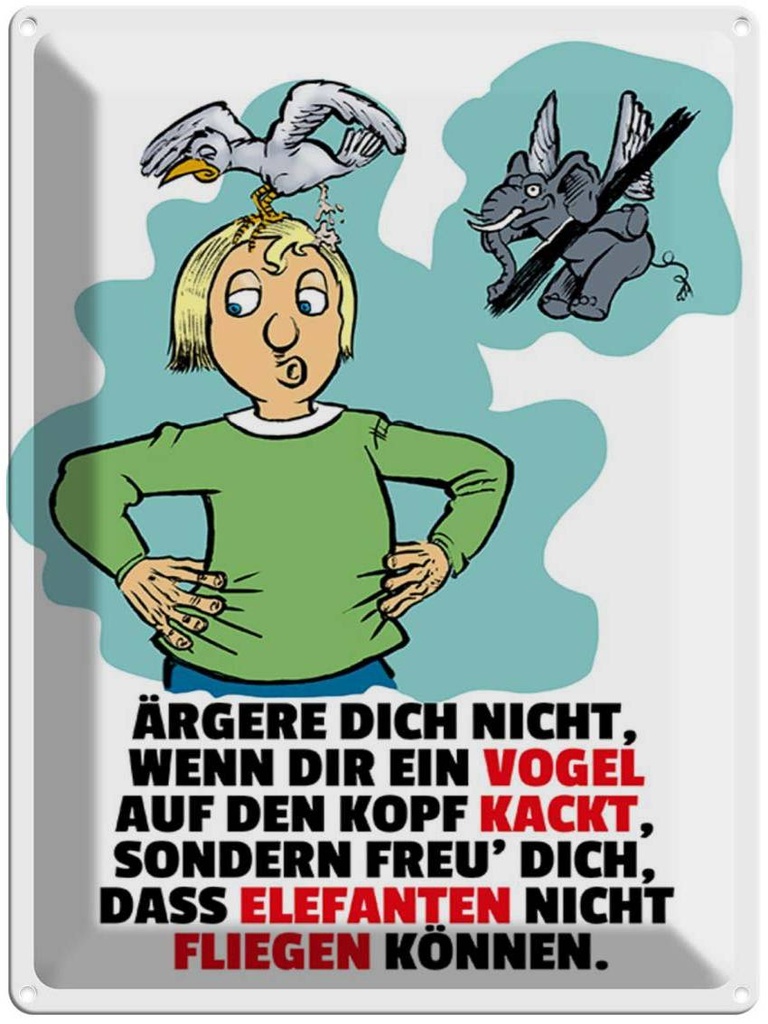 [LA-1789397] Blechschild 40x30 cm Freu dich Elefanten nicht fliegen Spruch Zitat