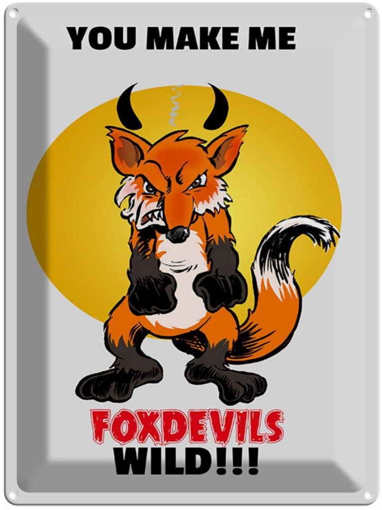 [LA-1789400] Blechschild 40x30 cm You make me foxdevils wild Fuchs Spruch Zitat