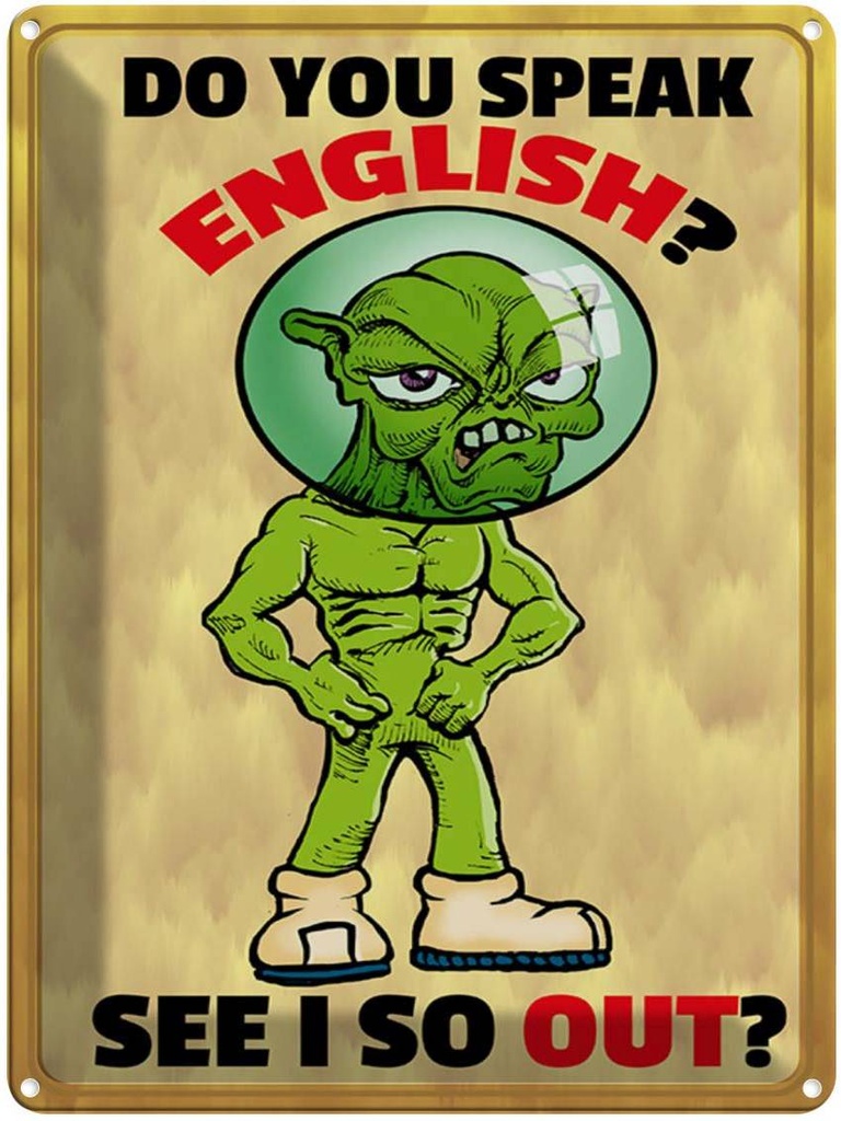 Blechschild 40x30 cm Do you speak english See i so out