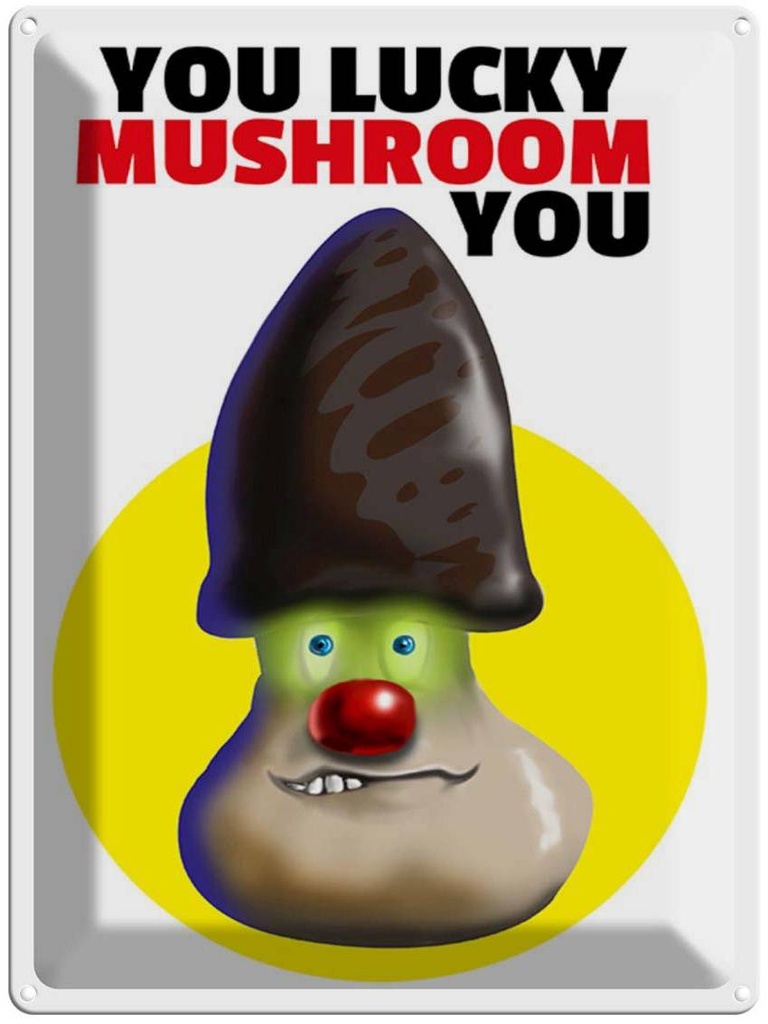 [LA-1789409] Blechschild 40x30 cm You lucky mushroom Spruch Zitat