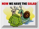 Blechschild 30x40 cm Now we have the salad Schnecken