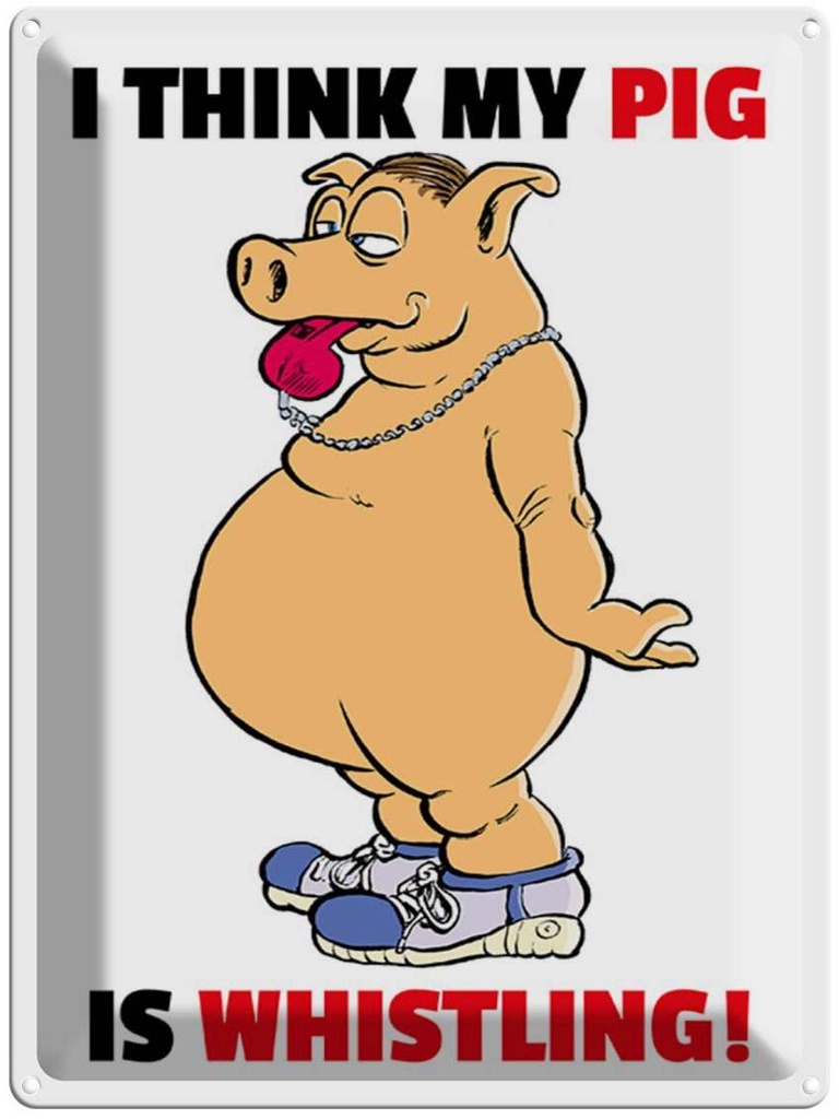 Blechschild 40x30 cm I think my pig's whistling Schwein