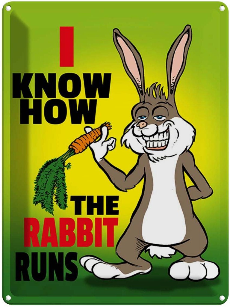 Blechschild 40x30 cm I know how the rabbit runs Hase