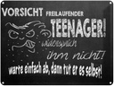 Blechschild 30x40 cm Vorsicht freilaufender Teenager Spruch Zitat