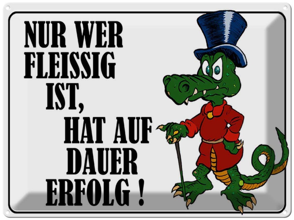 [LA-1789486] Blechschild 30x40 cm Nur wer fleissig ist hat Erfolg Spruch Zitat