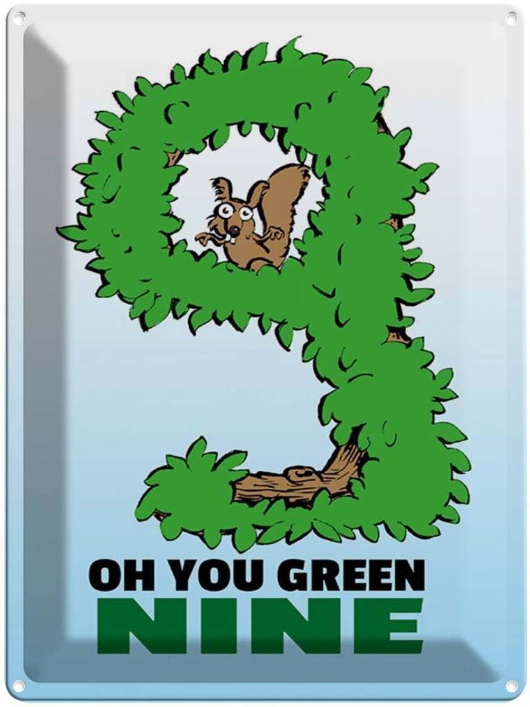 Blechschild 40x30 cm Oh you green nine