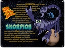 Blechschild 30x40 cm Sternzeichen Skorpion Planet Stärke Astrologie