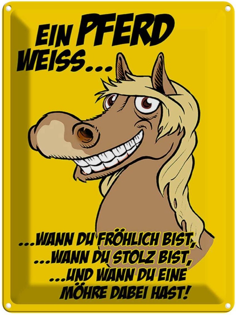 [LA-1789566] Blechschild 40x30 cm Ein Pferd weiss wann fröhlich Spruch Zitat