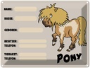 Blechschild 30x40 cm Pony Tiere Name Rasse Besitzer geboren