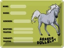 Blechschild 30x40 cm Pferd Araber Vollblut Name Besitzer