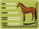 Blechschild 30x40 cm Pferd Thrakener Name Besitzer Rasse