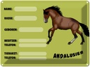 Blechschild 30x40 cm Pferd Andalusier Name Besitzer Rasse