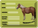 Blechschild 30x40 cm Pferd Fuchswallach Name Besitzer Rasse