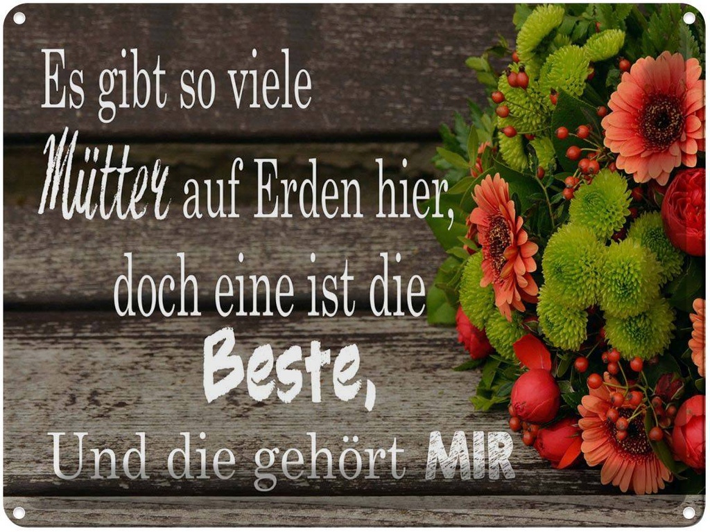[LA-1789668] Blechschild 30x40 cm es gibt viele Mütter doch eine Spruch Zitat