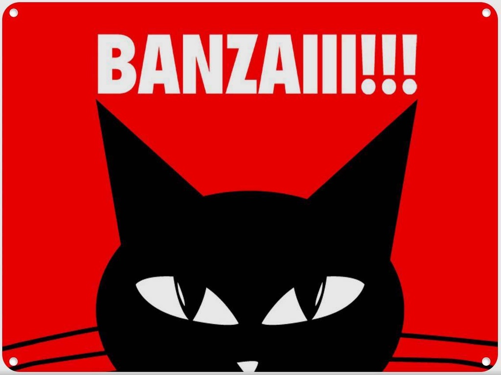 [LA-1789701] Blechschild 30x40 cm Katze Banzaiii!!!
