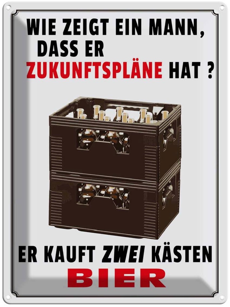 [LA-1789706] Blechschild 40x30 cm wie zeigt ein Mann Zukunftspläne Spruch Zitat