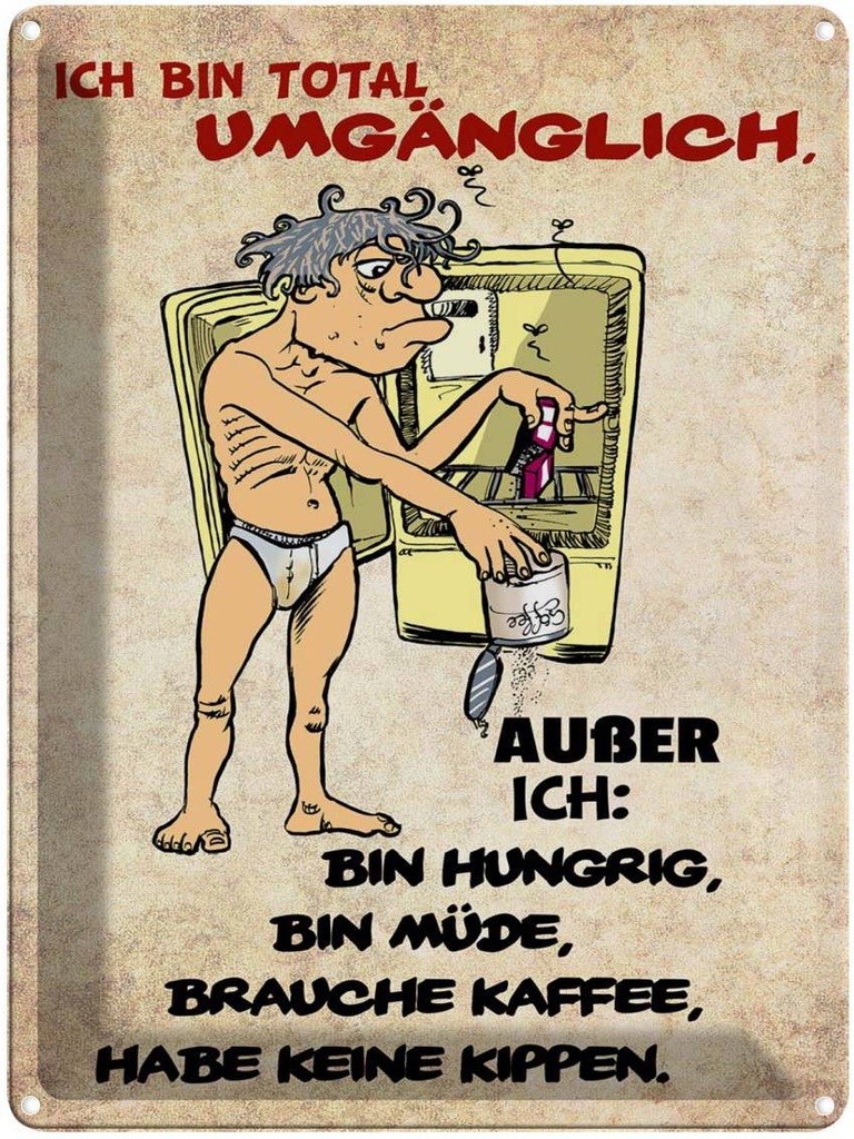 [LA-1789749] Blechschild 40x30 cm bin total umgänglich außer Spruch Zitat