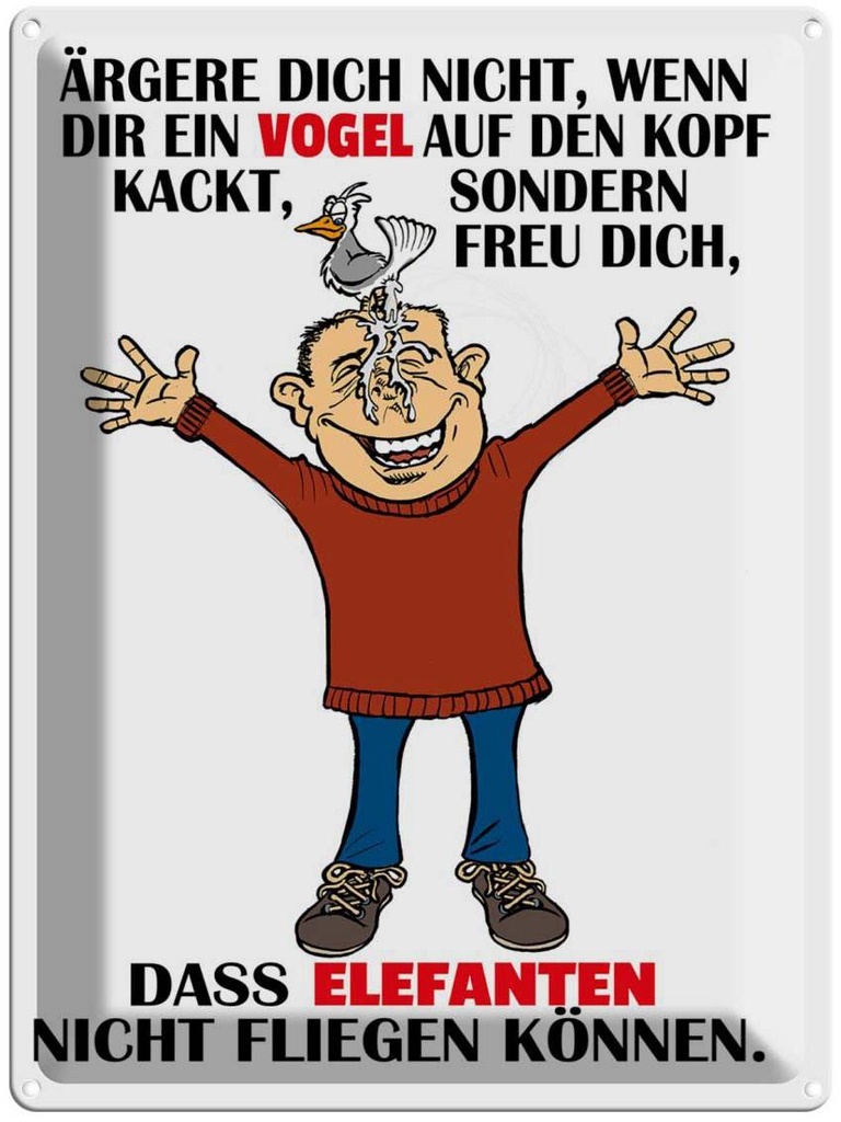 [LA-1789751] Blechschild 40x30 cm ärgere dich nicht wenn ein Vogel Spruch Zitat