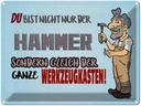 Blechschild 30x40 cm du Bist nicht nur der Hammer Spruch Zitat