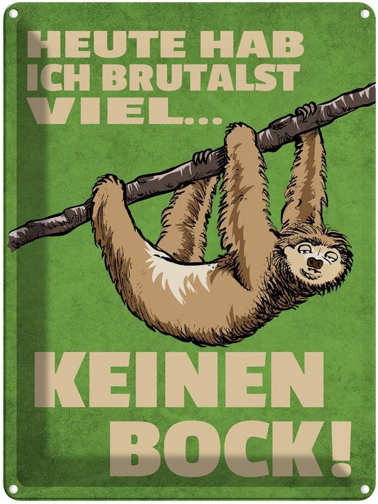 [LA-1789813] Blechschild 40x30 cm heute habe ich brutalst viel Spruch Zitat