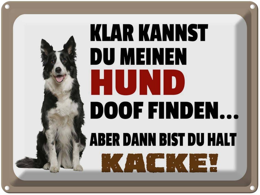 [LA-1789848] Blechschild 30x40 cm klar kannst du Hund doof finden