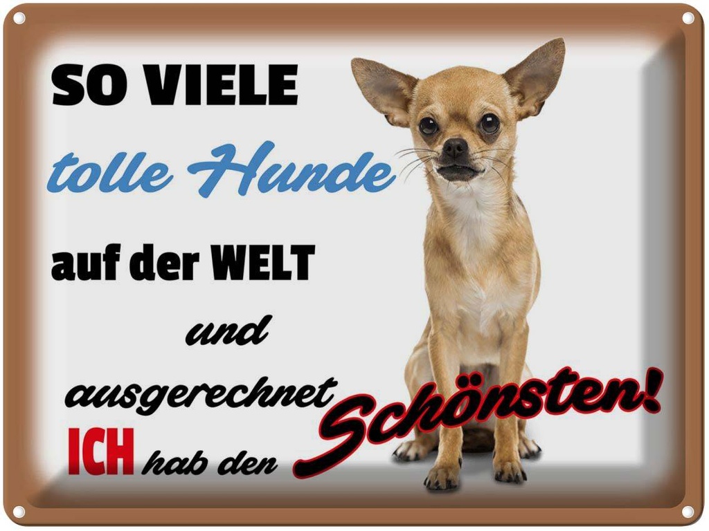 [LA-1789849] Blechschild 30x40 cm ich hab den schönsten Hund