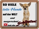 Blechschild 30x40 cm ich hab den schönsten Hund